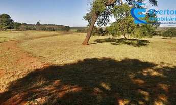 Imagem 5: Fazenda no município de Itapagipe contando 72 alqueires ou seja 348,48 hectares !