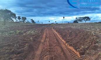 Imagem 2: Fazenda no município de Itapagipe contando 72 alqueires ou seja 348,48 hectares !