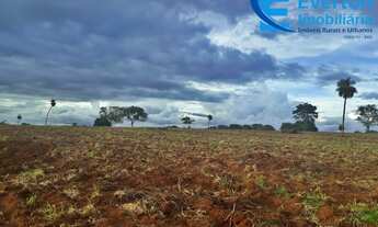 Imagem 3: Fazenda no município de Itapagipe contando 72 alqueires ou seja 348,48 hectares !