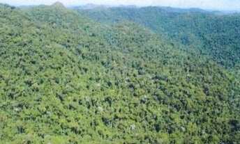 Imagem: Fazenda em Mata Nativa para venda em Guaraqueçaba-PR