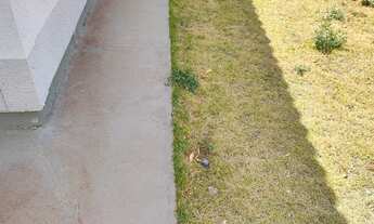 Imagem 3: Casa nova para locação em condomínio fechado na Zona Leste, Cond. Palacio de Turim, 2 dorm