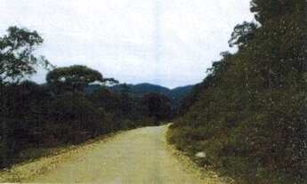 Imagem 2: Fazenda em Mata Nativa para venda em Guaraqueçaba-PR, área com 113 hectares, ideal para co
