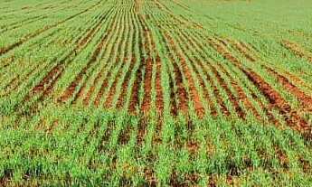 Imagem 2: Excelente sitio dupla aptidao para venda na região de Itapetininga-SP com 35 alqueires, la