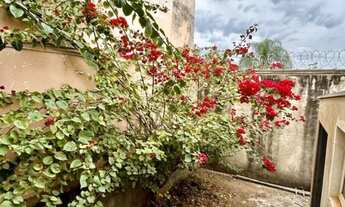 Imagem 3: Casa para venda na Caramuru, ideal para comércio, 3 dormitorios, 2 vagas, 125 m2 construid