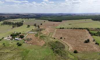 Imagem 3: Sitio dupla aptidao para venda ena região de Itapetininga-SP com 29 alqueires, agricultura