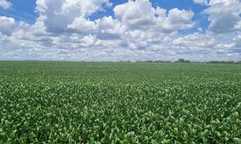 Imagem: Excelente fazenda para venda na região