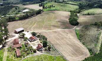 Imagem 2: Excelente sitio para venda na região de Itapetininga-SP com 8,90 alqueires, aproveitamento