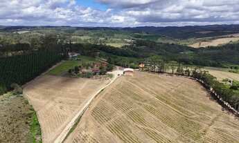 Imagem 7: Excelente sitio para venda na região de Itapetininga-SP com 8,90 alqueires, aproveitamento