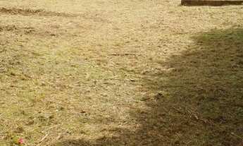 Imagem 7: Amplo prédio comercial com 2.760 m2 para locação na Av. Castelo Branco, showroom, escritór