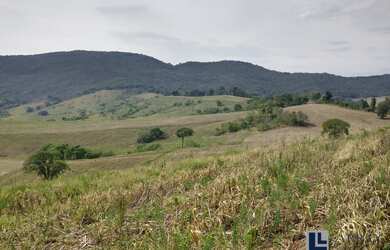 Imagem 2: Excelente Sitio dupla aptidao para venda em Tres Coracoes-MG com 24 hectares, atualmente n