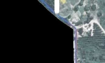 Imagem 2: Sitio dupla aptidão para venda em Pirangi-SP, com 8,3 alqueires, cana própria, limao, mang