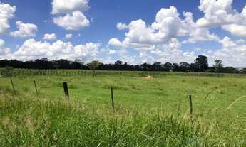 Imagem 2: Lindo sitio dupla aptidão para venda em São Carlos-SP, com 24 alqueires sendo 20 alqueires