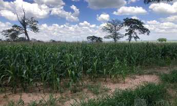 Imagem 3: Lindo sitio dupla aptidão para venda em São Carlos-SP, com 24 alqueires sendo 20 alqueires