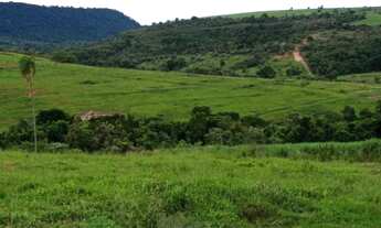 Imagem 3: Fazenda para venda na região de Piracicaba-SP, com 70 alqueires sendo 22 alqueires em cana