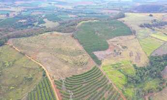 Imagem: Sitio para venda na região de Monte Alto-SP