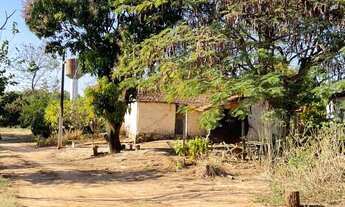 Imagem 3: Sitio dupla aptidão para venda em Pirangi-SP, com 8,3 alqueires, cana própria, limao, mang