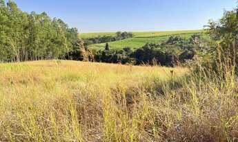 Imagem: Sitio dupla aptidão para venda em Pirangi-SP