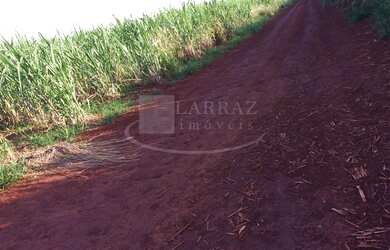 Imagem 3: Sitio para venda no município de Jubai-MG, proximo de Conquista-MG com 16 alqueirao sendo