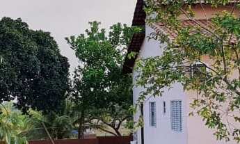 Imagem 7: Fazenda para gado a venda em Tocantins no município de Gurupi-TO, com 77,6 alqueirao em pa