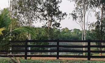 Imagem 2: Fazenda para gado a venda em Tocantins no município de Gurupi-TO, com 77,6 alqueirao em pa