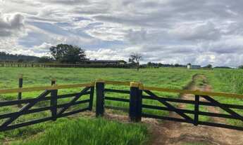 Imagem 5: Ótima fazenda dupla aptidão para venda na região de Novo Horizonte do Norte-MT, com 1.900
