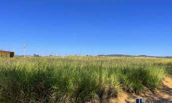 Imagem 4: Sitio para venda em Cajuru-SP, com 20.000 m2, plano, energia, bem localizado, 8 km da cida