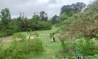 Imagem 5: Fazenda para pecuária a venda na região de São Romao-MG, com 1.390 hectares, pasto, rio na