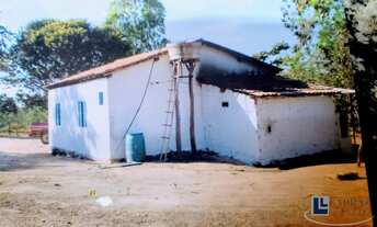 Imagem 7: Fazenda para pecuária a venda na região de São Romao-MG, com 1.390 hectares, pasto, rio na