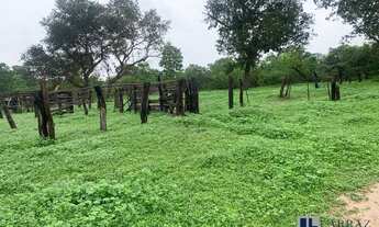 Imagem 4: Fazenda para pecuária a venda na região de São Romao-MG, com 1.390 hectares, pasto, rio na