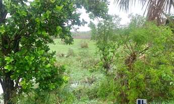 Imagem 3: Fazenda para pecuária a venda na região de São Romao-MG, com 1.390 hectares, pasto, rio na