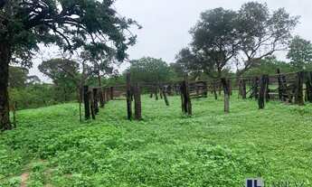 Imagem: Fazenda para pecuária a venda na região