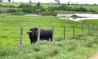 Imagem: Fazenda dupla aptidão para venda na região
