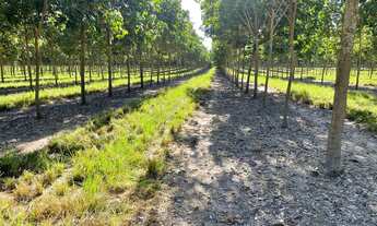 Imagem 5: Fazenda dupla aptidão para venda na região de Araguaina-TO, com 17.000 hectares sendo 11.0