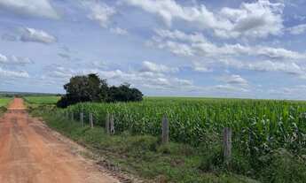 Imagem 4: Fazenda dupla aptidão para venda na região de Araguaina-TO, com 17.000 hectares sendo 11.0
