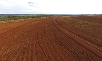 Imagem: Fazenda para venda na região de Comendador
