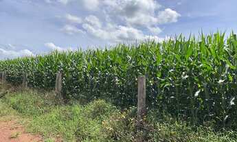 Imagem 2: Fazenda dupla aptidão para venda na região de Araguaina-TO, com 17.000 hectares sendo 11.0
