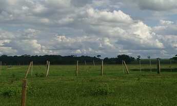 Imagem: Fazenda dupla aptidao para venda na região