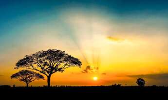 Imagem 3: Lançamento Loteamento alto padrao em Ribeirão Preto, Condominio Alto do Castelo II, lotes