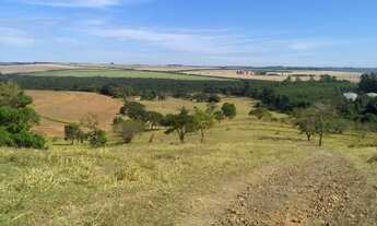 Imagem 5: Sitio para venda na região de São Carlos-SP, com 11 alqueires em pastagem, boa de agua, di