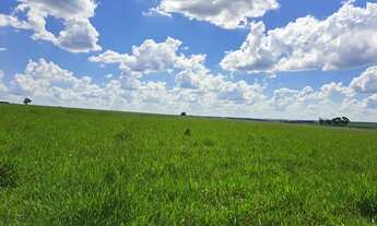 Imagem 2: Fazenda dupla aptidão para venda na região de Presidente Prudente-SP com 102 alqueires, mo