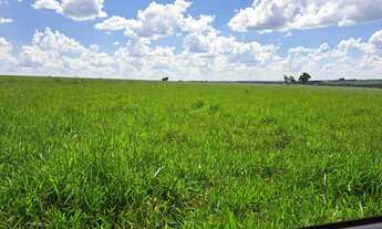 Imagem: Fazenda dupla aptidão para venda na região