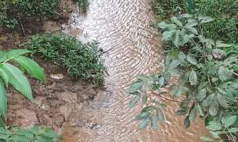 Imagem 2: Fazenda para venda na regiao de Comendador Gomes-MG com 43 alqueirao MG na pecuária, plant