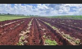 Imagem: Sitio para venda na regiao de Igarapava-SP