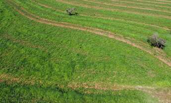 Imagem: Fazenda para venda na região de Aparecida