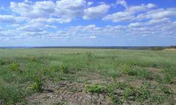 Imagem 3: Fazenda para venda na regiao de Bom Jesus-PI com 1.299 hectares, sendo 200 hectares abert