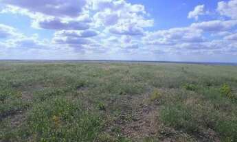 Imagem 2: Fazenda para venda na regiao de Bom Jesus-PI com 1.299 hectares, sendo 200 hectares abert