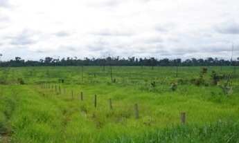 Imagem: Fazenda grande extensão a venda na região