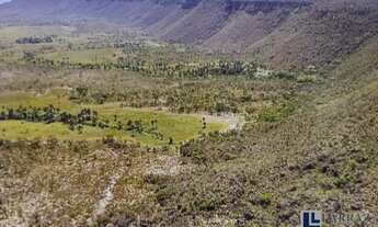 Imagem 2: Oportunidade, apenas R$ 2.466,00 / hectare. Fazenda para venda na região de Dianopolis-TO