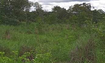 Imagem 2: Sitio dupla aptidão para venda em Floriano-PI com 70,5 hectares, atual na pecuária, terra