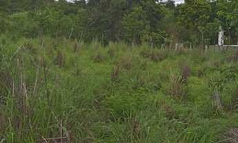 Imagem 5: Sitio dupla aptidão para venda em Floriano-PI com 70,5 hectares, atual na pecuária, terra